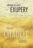 Citadelė