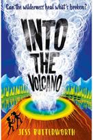 Into the Volcano