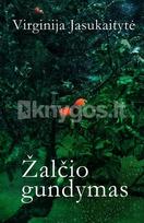 Žalčio gundymas - Virginija Jasukaitytė