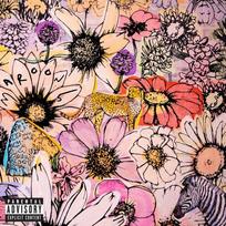 Vinilinė plokštelė - Maroon 5 – Jordi LP (Purple Coloured)