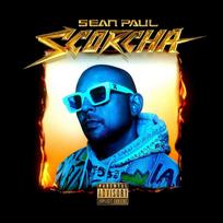Vinilinė plokštelė - Sean Paul – Scorcha LP (Transculent Orange Coloured)