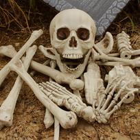 28 vnt. Helovino skeletas kaulai Helovino rekvizitai Skeletas klastingi kaulai Namo su vaiduokliais vakarėlio dekoracijos
