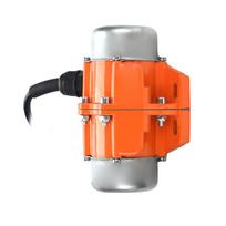 1 vnt vibracinis variklis asinchroninis vibracinis variklis mechaninei įrangai(1fazis, 30w)
