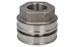 hidraulinis cilindras, pakeliamos galinės durelės 595-10043-AN