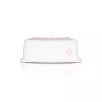 Colibro Laiptelis  Step 1, Pink