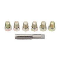 13 vnt. Alyvos išleidimo kamščio sriegio remonto rinkinys M13 X 1,5 mm Alyvos karterio varžtai Sriegio atkūrimo įrankių rinkinys