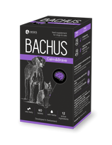 BACHUS Calm&Brave, N60