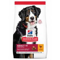 Hill's SP Adult large breed with chicken maistas šunims su vištiena - 14 Kg
