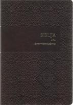 Biblija ek. 085DCTI 2025. Biblija arba Šventasis Raštas, ekumeninis leidimas, la nkstus viršelis - Nėra Autoriaus