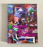 Monika Michalko: Here in the Real World: Kat. Kunsthalle Nürnberg