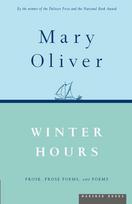 Winter Hours: Prose, Prose Poems, and Poems