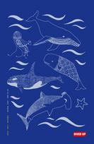 Diving Log Book: Under the Sea