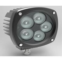 CREE LED LED Cree DARBINIS ŽIBINTAS 50W