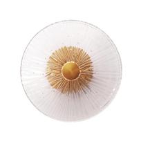 Sieninis šviestuvas Maxlight 1L Clear Glass W0356