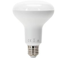 LED elektros lemputė R90 E27/15W/230V 6500K - Aigostar
