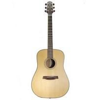 Akustinė gitara Walden D-2040