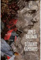 Džovanio kambarys. E.knyga - James Baldwin