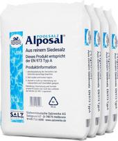 "Alposal" baseino druska, baseino druska, tinkama chloratoriams, druskos elektrolizei, virimo druskai ir t. t. (3)