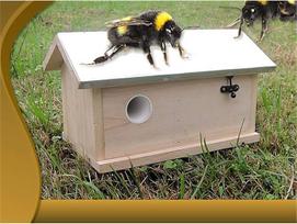 Melko Hummel Bumblebee House, Bumblebee Nesting Box, Nesting Box, Insect House, Insect Hotel, XXL su metaliniu stogo dangčiu, sulankstomas Bumblebee Hotel