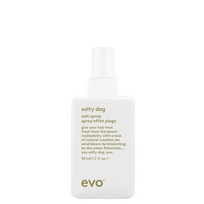 EVO Salty Dog paplūdimio tekstūros purškalas, 50ml