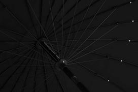 Venture Design Skėtis, Palmetto, 270x270 cm, Juodas