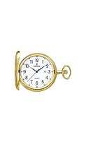 FESTINA 2028/1 - Vyriškas laikrodis - Laikrodis vyrams