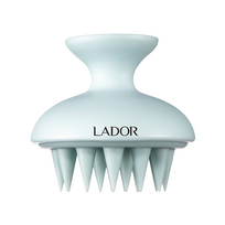 LADOR Dermatical Shampoo Brush