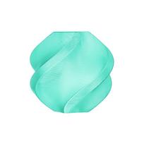 Bambu Lab Refill PETG Translucent plastikas 1.75mm 1kg - Translucent Teal