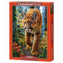 Dėlionė liūtas miške Castorland, 1500 d.