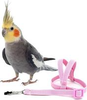 Hearthrousy Paukščių Švinas Paukščių diržai Cockatiel Paukščių diržai Budgie Paukščių diržai Aviator Pet Paukščių Papūgų diržai Švinas Paukščių virvė Mokymo reikmenys 2 m