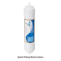 Anglies bloko filtro kasetė WaterLovers CTO 33 (1/4)