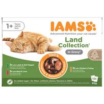 IAMS Delights MP LND GRAVY konservų rinkinys suaugusioms katėms, 12x85 g