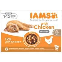 IAMS Delights MP KIT GRAVY konservai kačiukams su vištiena, 12x85 g