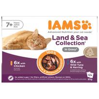 IAMS Delights SR LND&SEA GRVY konservų rinkinys vyresnio amžiaus katėms, 12x85 g