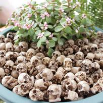 20 vnt. Mini kaukolės Helovino sodo dekoracija Bonsai kiemo ornamentas Maža skeleto galva Gėlių vazono dekoras Realistiški amatai 20pcs