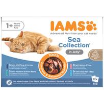 IAMS Delights MP SEA JLY konservai suaugusioms katėms su jūros gerybėmis, 12x85 g