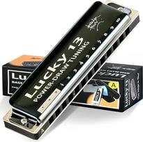 Rytų viršus Lucky 13 Bass Plus Blues Harmonica 13 skylių Diatoninė arfa Burnos vargonai Profesionalūs muzikos instrumentai PowerDraw A raktas suaugusiems