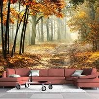 Modernūs Foto Tapetai Rudens Miškas 3d Sienų Freska Svetainei Miegamajam Valgomajam Romantiškas Namų Dekoras Sienų Popieriai 200 cm(W) x 140 cm(H)