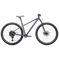 Specialized Rockhopper Comp 29" kalnų dviratis | Mauve Fiery Jade Metallic