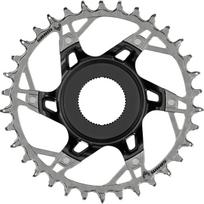SRAM XX Eagle Transmission E-MTB Steps dantratis | Direct Mount | 1x12 pavarų, 34T