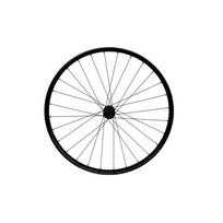 BlackJack Ready 23 ASY 12x142 Center Lock SB FH 700C galinis ratas