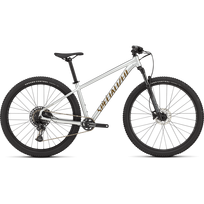 Specialized Rockhopper Expert 29" kalnų dviratis | Silver Dust - Satin Burnt Gold Metallic
