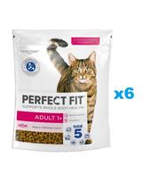 PERFECT FIT Adult 1+ 6x750 g sausas visavertis ėdalas suaugusioms katėms, kuriame gausu šviežios lašišos