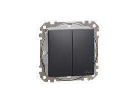 Jungiklis SCHNEIDER Sedna Desing, 2 klavišų, IP44, antracitas; SDD214105