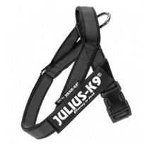 Julius-K9 IDC Color & Gray petnešos šunims (juodos) - Produkto Petnešų dydis S