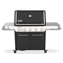Dujinė kepsninė Weber Summit FS38 E