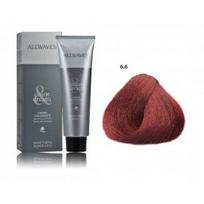 Allwaves Color Cream profesionalūs plaukų dažai 100 ml. - 6.6 Purple red