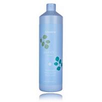 Echosline Balance + Sebum Control Shampoo šampūnas riebiems plaukams ir galvos odai - 1000 ml.