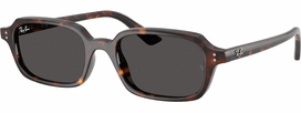 Universalus Akiniai RAY-BAN RB4455 135987