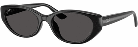 Universalus Akiniai RAY-BAN RB4457D 667787